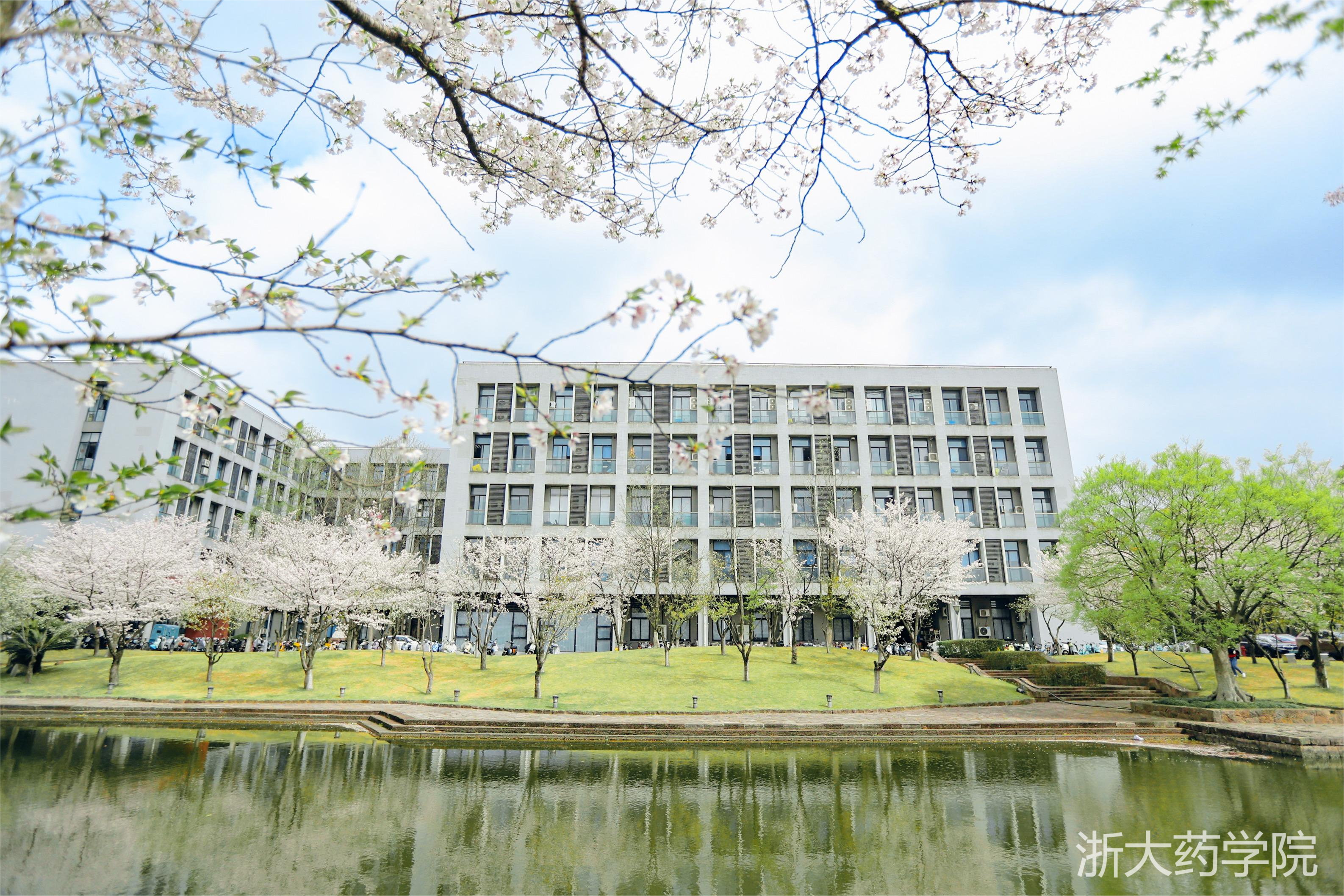 学院领导